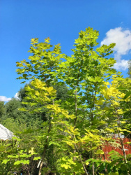 20220708_150824.jpg@webp